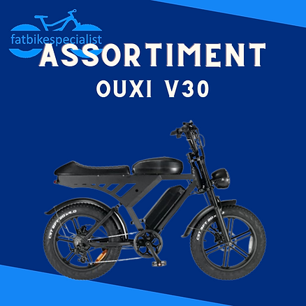 Nieuwste Ouxi fatbike